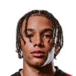 雷米·里斯-多廷